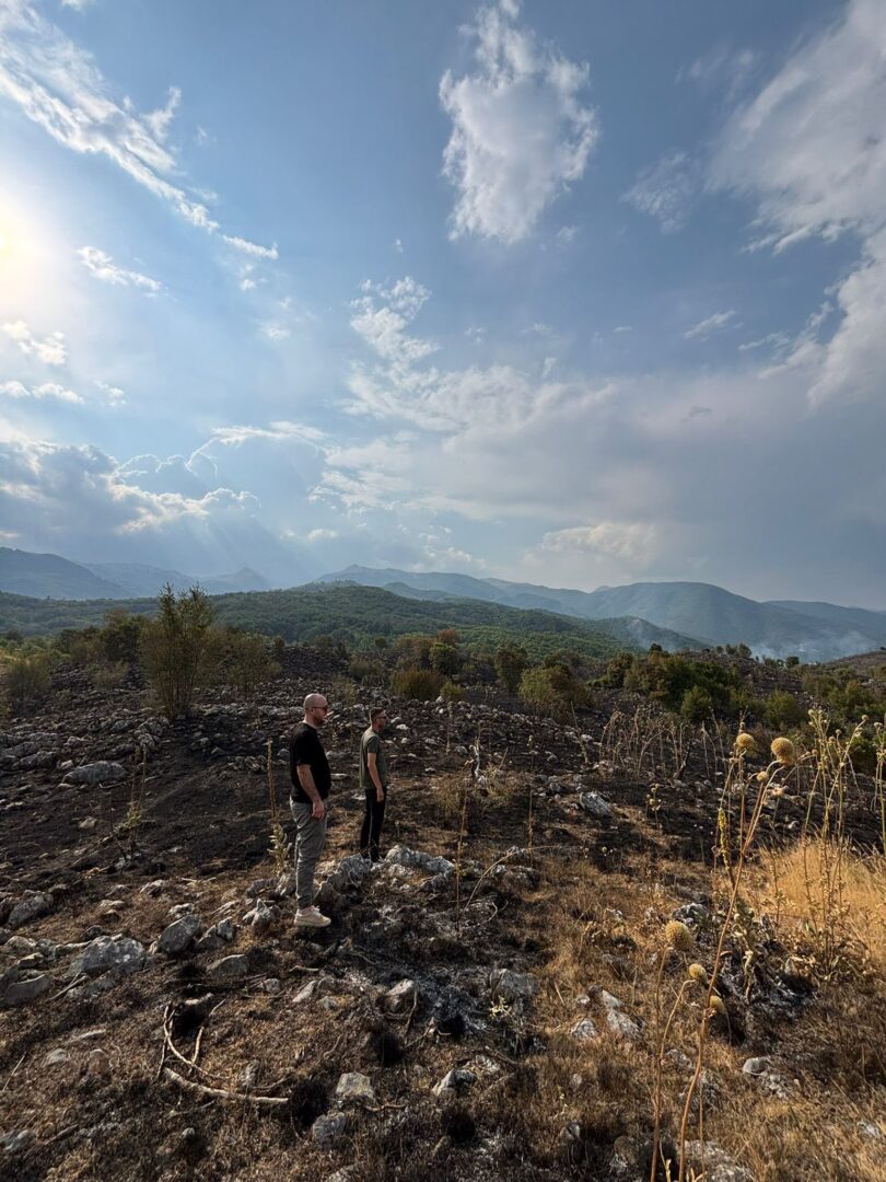 Големиот пожар кај струшко Октиси ставен под контрола