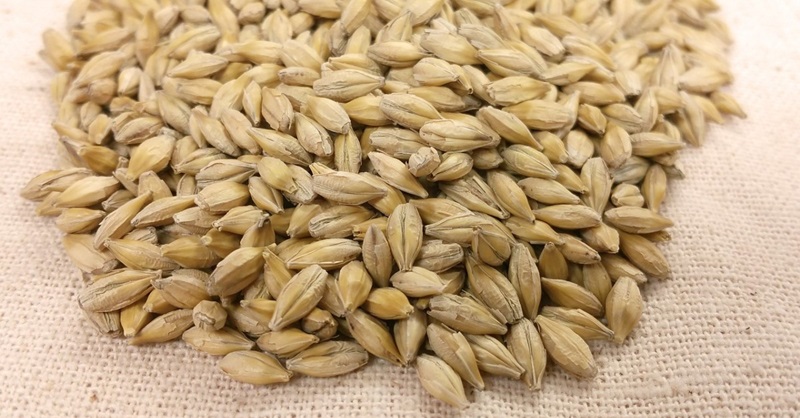 Оваа вкусна и здрава житарка помага во намалувањето на холестеролот