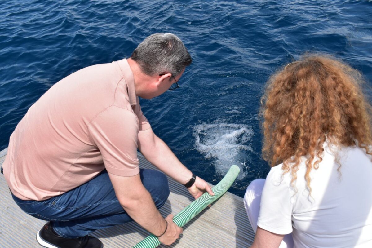 Охридското Езеро се порибува со речиси милион единки охридска пастрмка