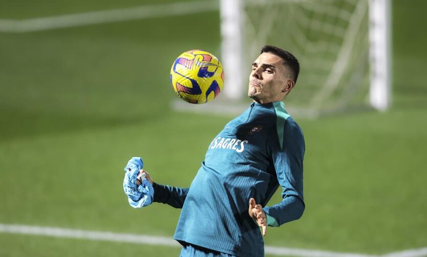 Палиња во Тотенхем