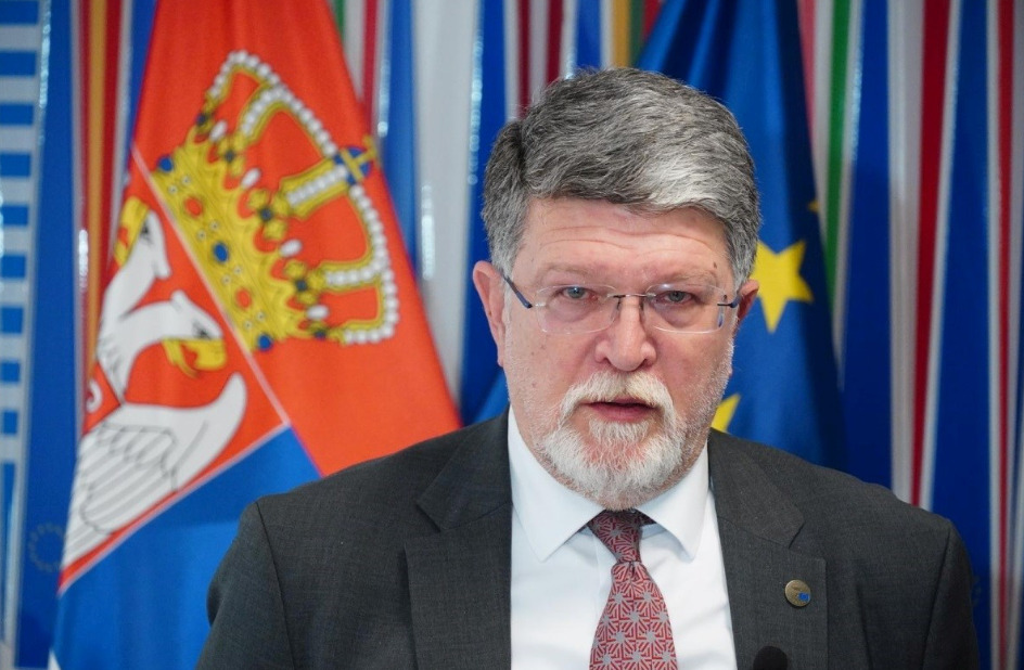 Пицула: Србија живее во вонредна состојба, се плашам од 17-та жртва