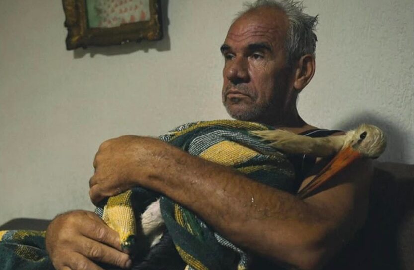 По ‘Медена земја’, нов историски пробив: ‘Силјан’ на Котевска во Венеција и Торонто