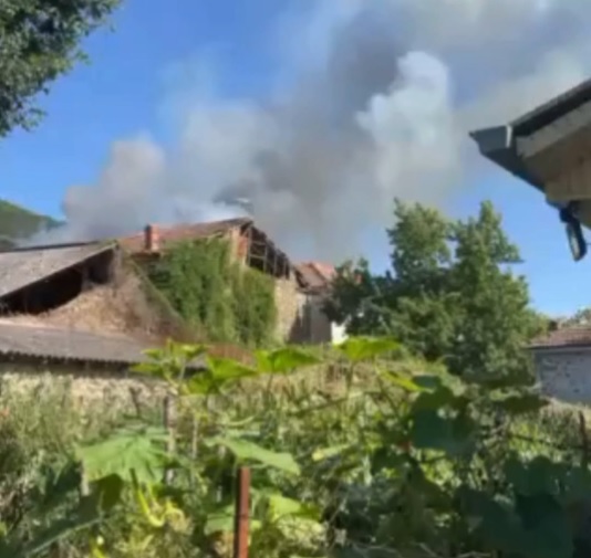 Попладнево избувна голем пожар кај ресенското село Долно Дупени