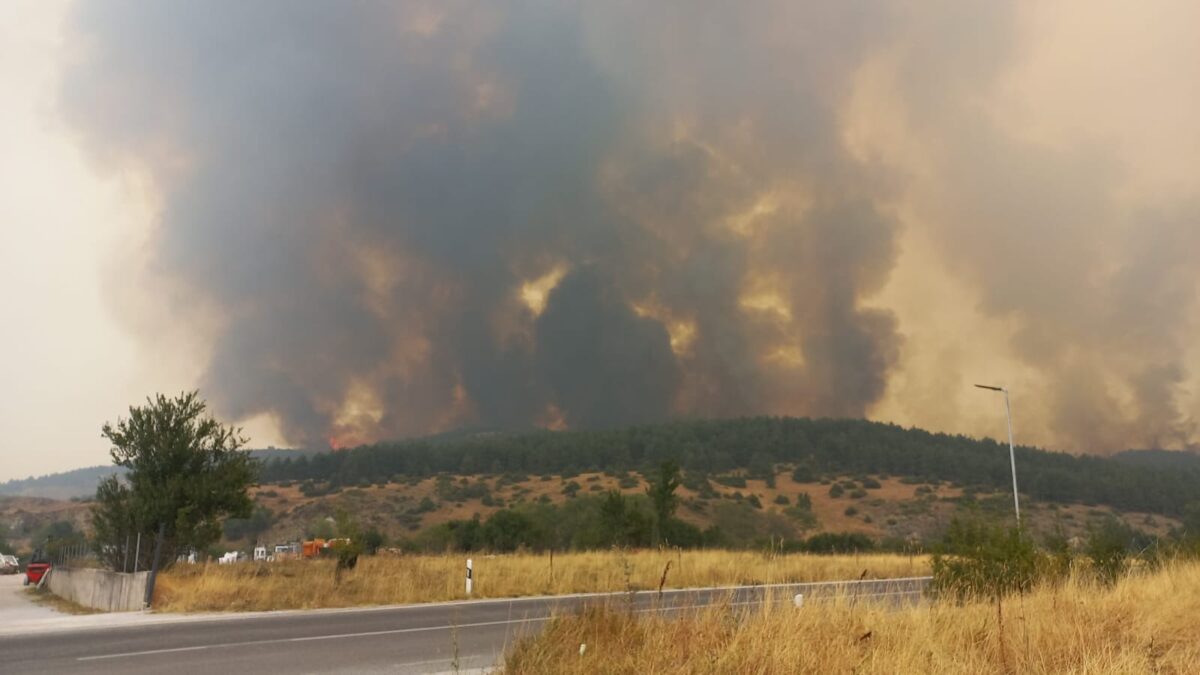 Поради пожар целосно прекинат сообраќајот кон ГП Јажинце и преминот на границата во двата правци