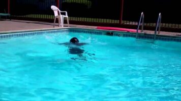 Ужас на базен во Швајцарија: 8-годишно дете случајно уби маж