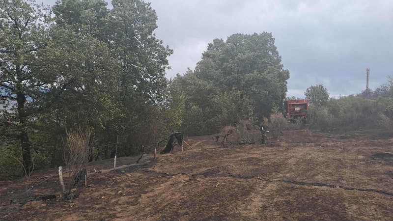 (Фото) Гори на неколку места во Скопје, невремето предизвика пожари