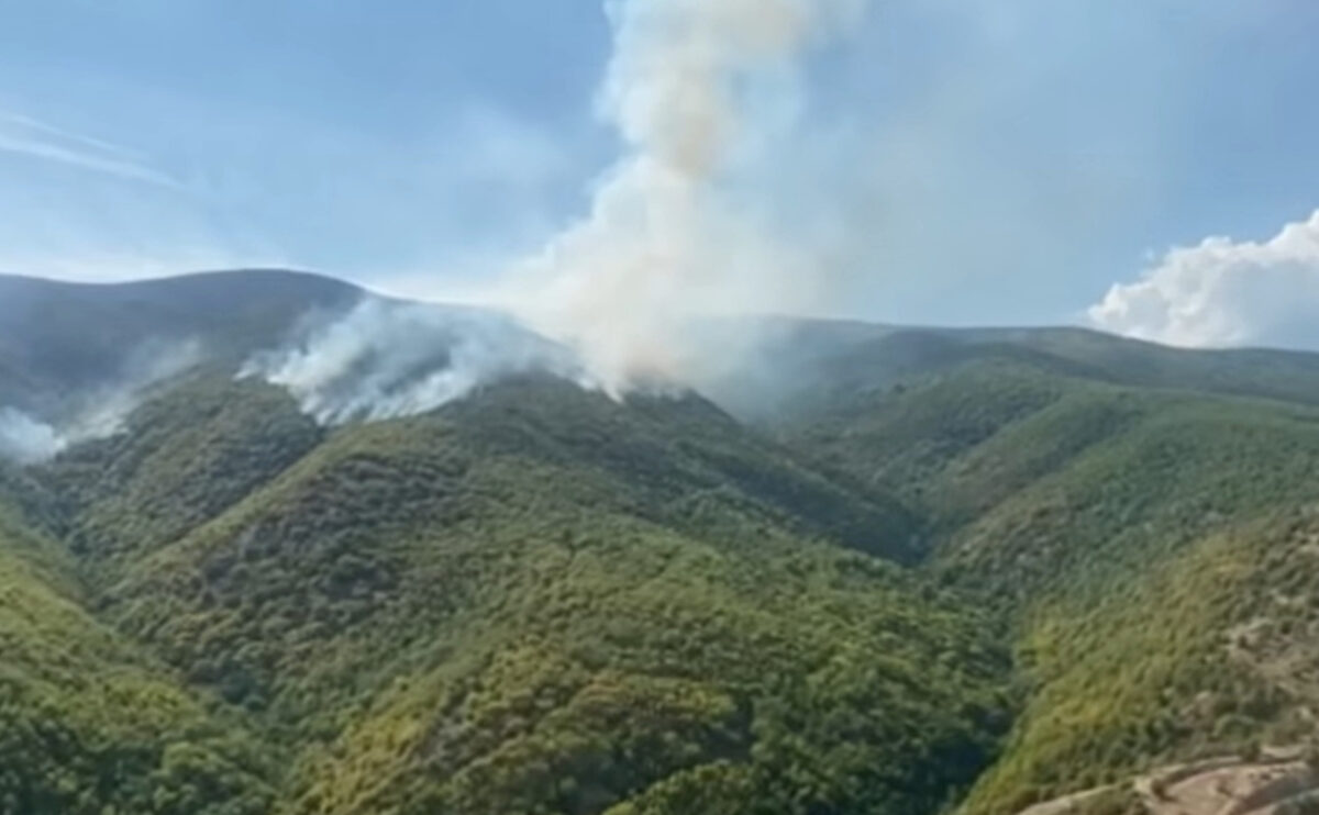 (Видео) Полицискиот хеликоптер денеска фрли повеќе од 30 тони вода врз дел од пожарите