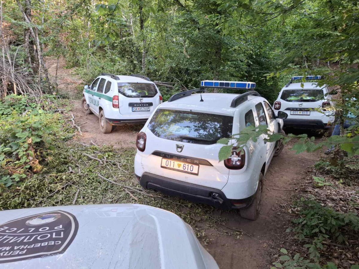 Вмешани директори и полицајци: Опустошиле 6.000 хектари шума, исекле дрва во вредност од над 6 милијарди денари