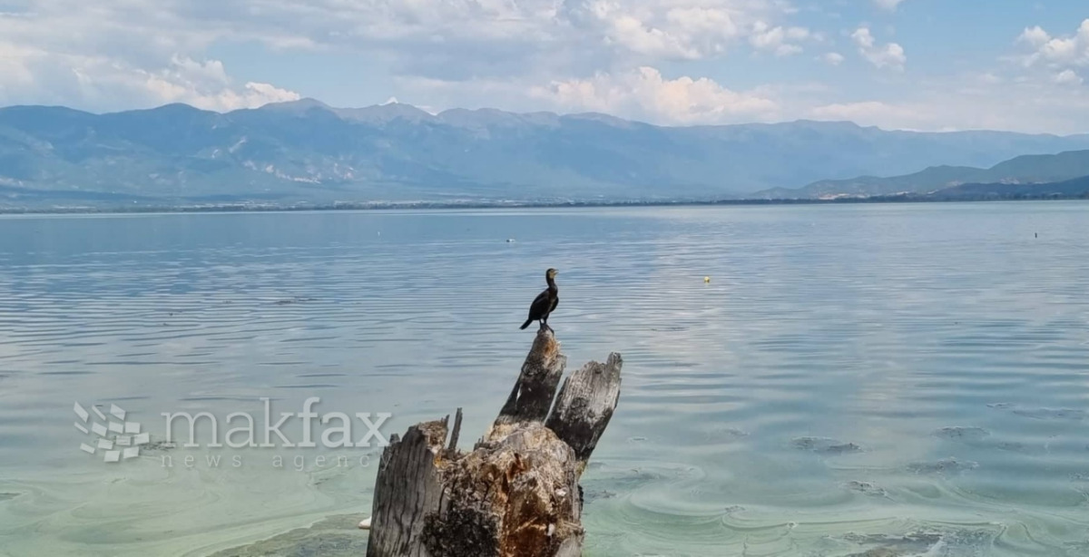 Денес топло време, од утре нестабилно со локален пороен дожд и грмежи