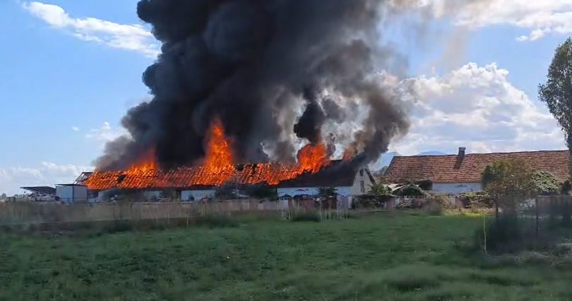 Обвинителство чешла документи, Армијата мери токсини по пожарот во Трубарево, се чека и на резултатите од министерството на Меџити