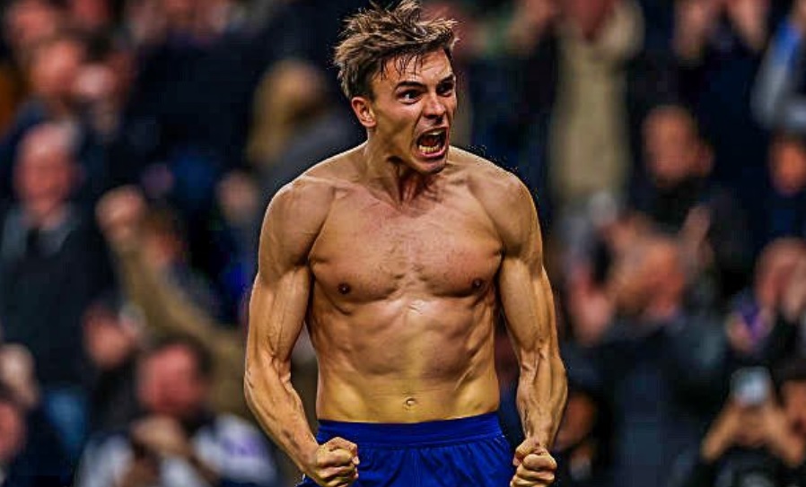 Палиња е спасителот на Тотенхем