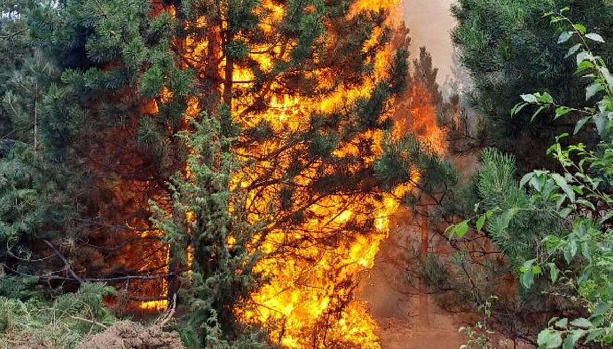 Пожарите стивнаа, остана само еден активен