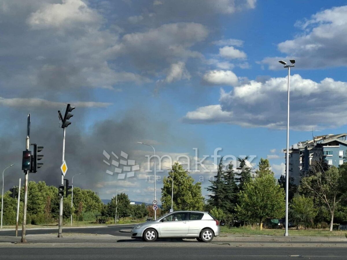 Пожарот кај Вардариште е ставен под контрола, ЦУК извести дека нема активни пожари