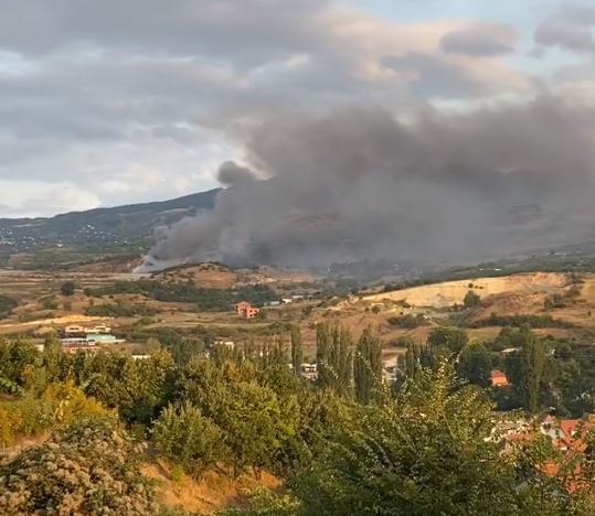 Постои сомнеж дека пожарот во Дрисла е подметнат