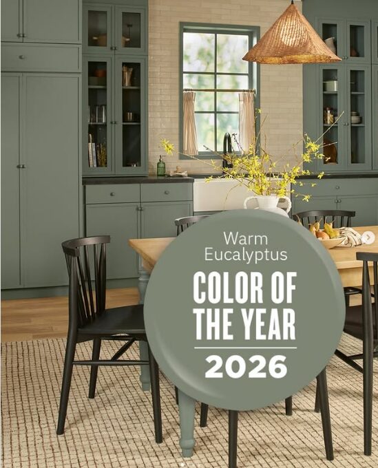 Прогласена бојата на 2026 година: Ќе биде најголемиот тренд во ентериерите