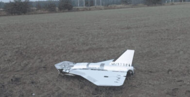 Руското Министерство за надворешни работи: Полска шири митови