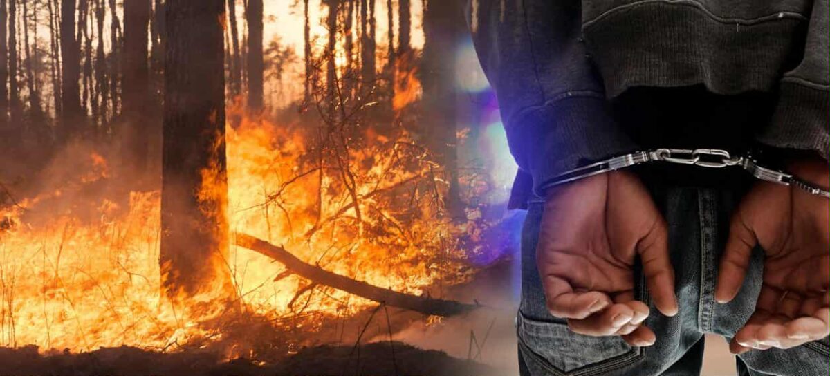 Уапсени 60 лица за подметнување пожари во Македонија