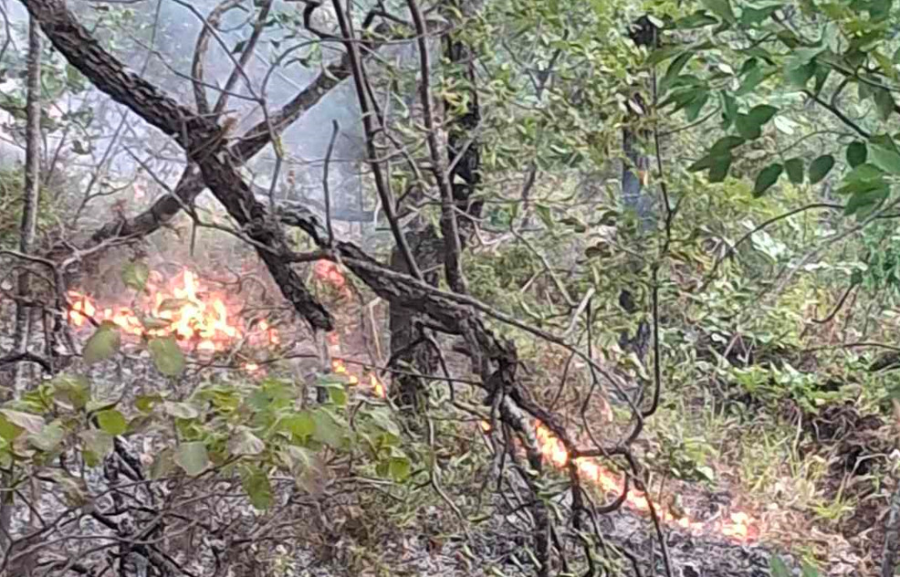 ЦУК: Побарано воздушно дејствување врз пожарот во Липковско на страната од Скопска Црна Гора