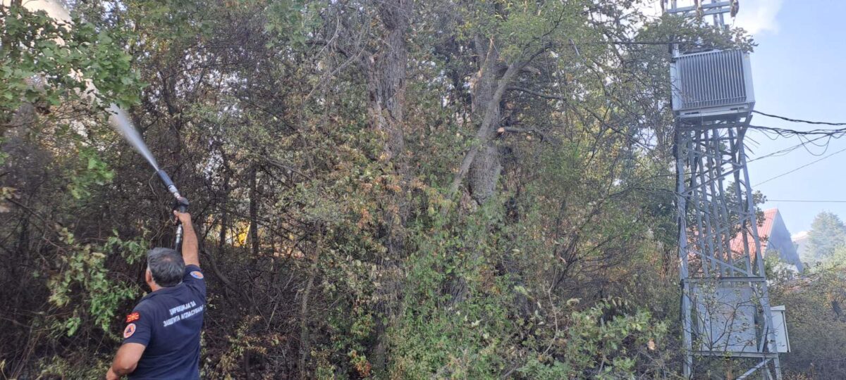 Шест активни пожари во државата, еден е под контрола