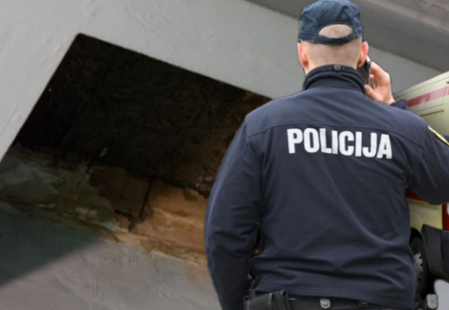 (Видео) Се урна дел од таван на пазар во Загреб