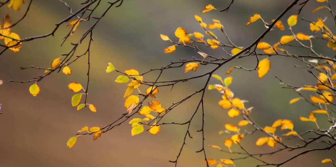 Времето денеска ќе биде сончево со мала до умерена облачност, од утре пад на температурите