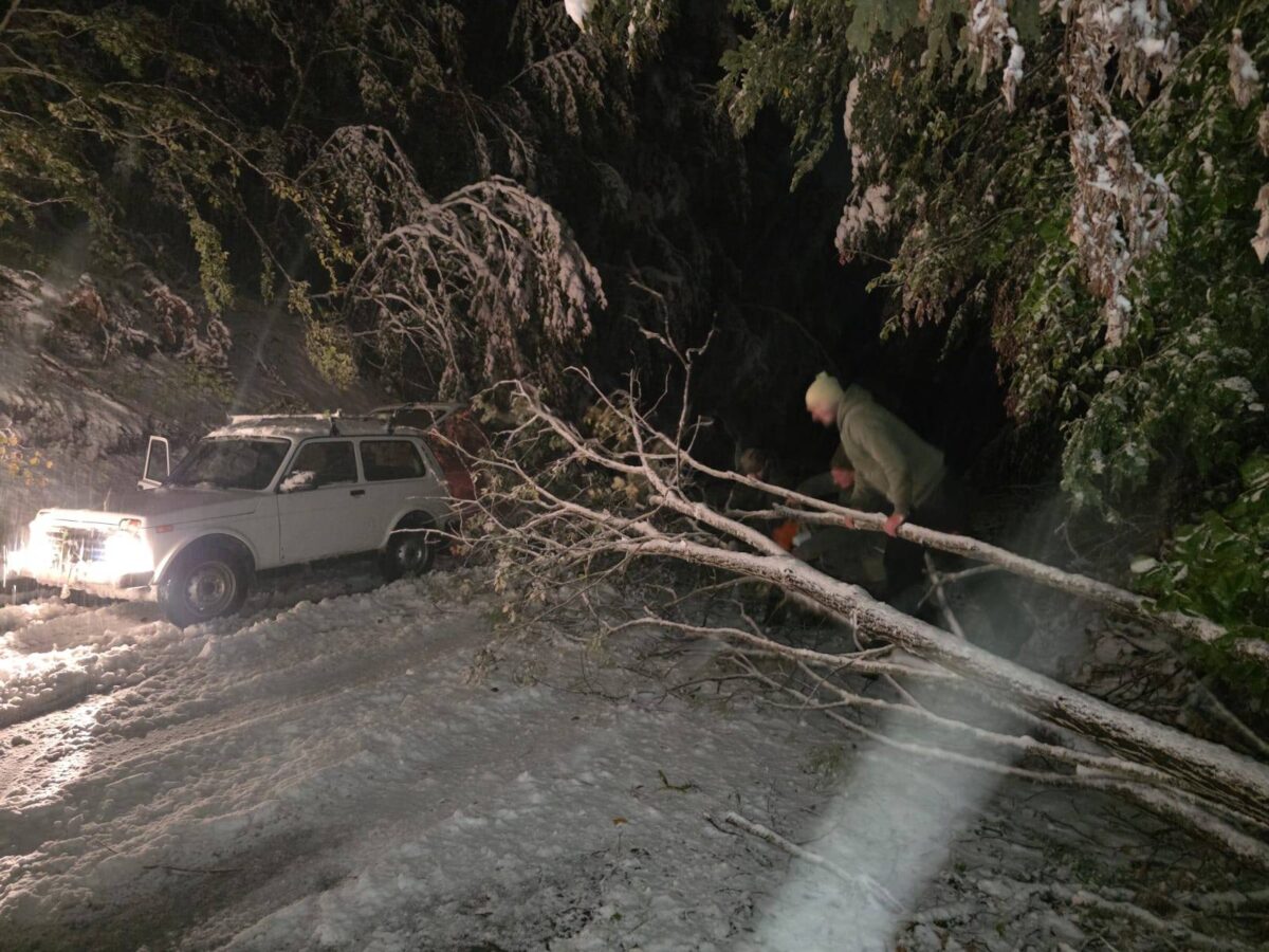 Врнежи од снег и паднати дрвја на патот Никфорово-Леуново-Бунец, сообраќајот во прекин