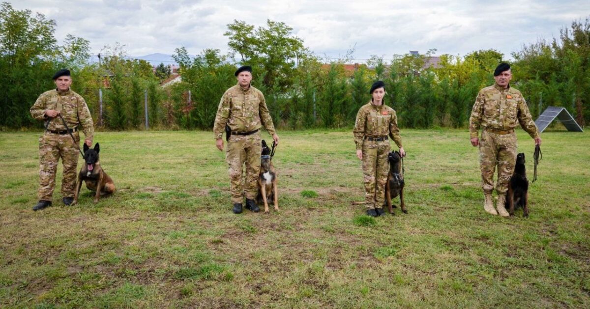 Завршена регионалната програма за сертификација на службени кучиња за мириси на производи