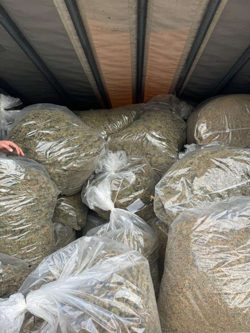 Околу 130 килограми марихуана откриени на Табановце, поведена истрага