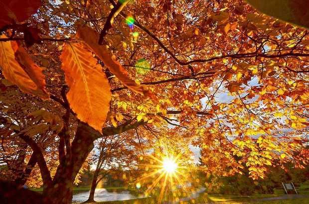 Утре наутро со магла по котлините, преку денот сончево, со температури до 23 степени