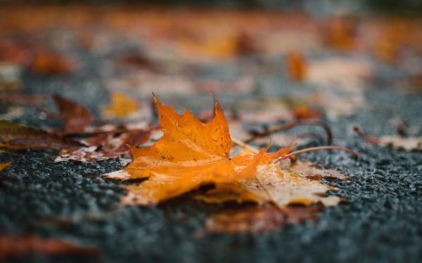 Утре претежно облачно со повремени врнежи од дожд кои ќе бидат пообилни во западните делови