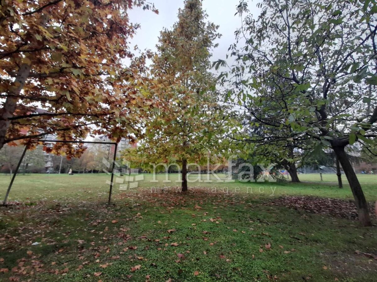 Утрото постудено и магливо, преку денот сончево со мала до умерена облачност