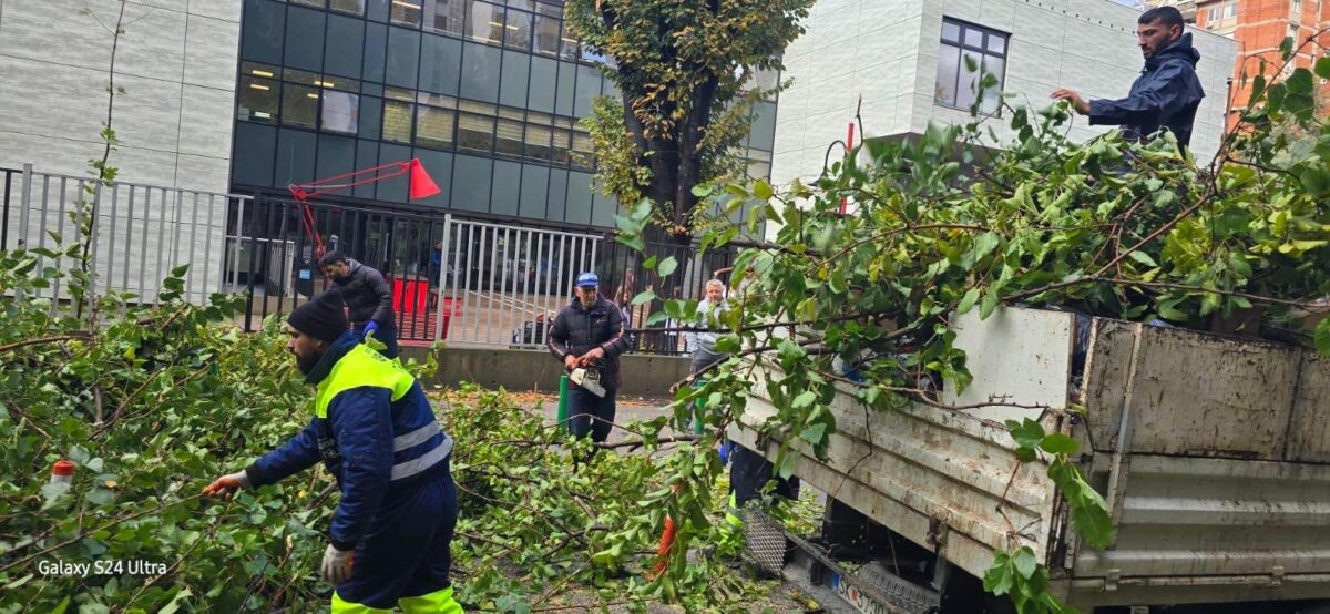 (Фото) Општина Центар: Се отстрануваат паднатите дрвја кај училиштето „Киро Глигоров“