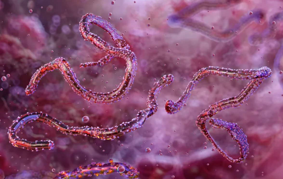 Етиопија ја потврди првата епидемија на вирусот Марбург