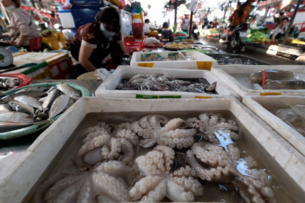 Зголемени тензии меѓу Пекинг и Токио – Кина го блокира јапонскиот извоз на морска храна