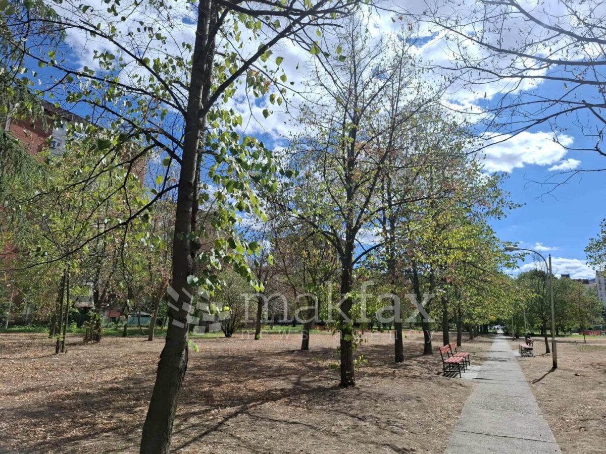 Наутро ведро и студено, а во текот на денот претежно сончево