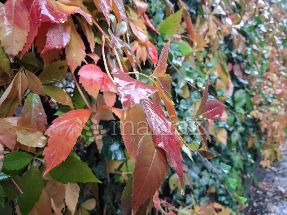 Облачно со сончеви периоди, на некои места слаб снег