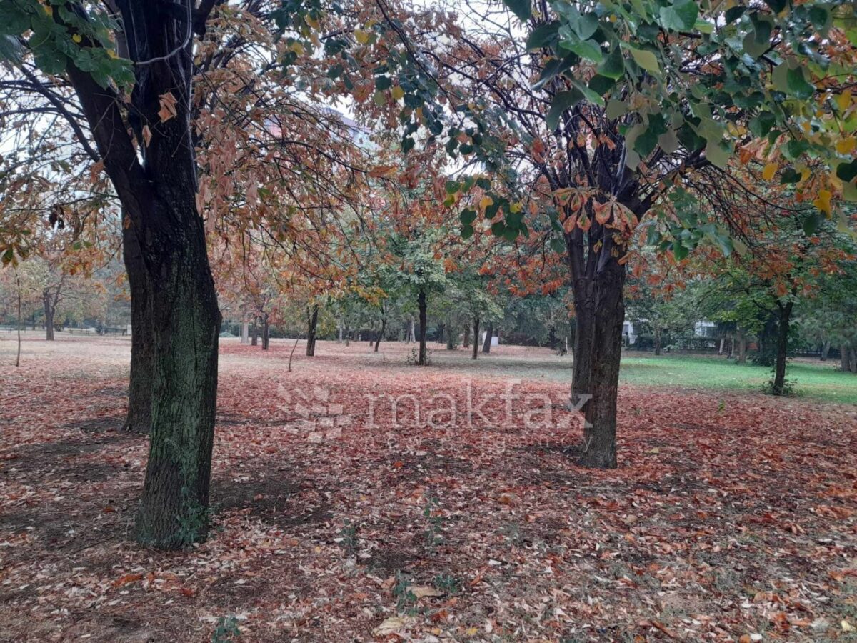Променливо облачно, претпладне слаба магла, попладне повремени врнежи од дожд