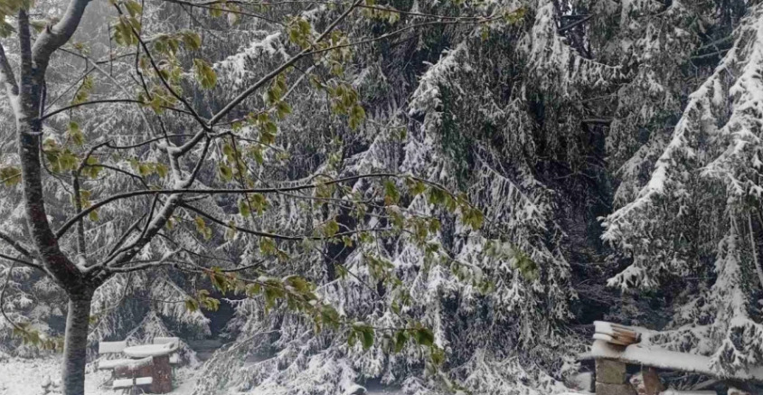 Студено утро, во Маврово снег и температури под нулата