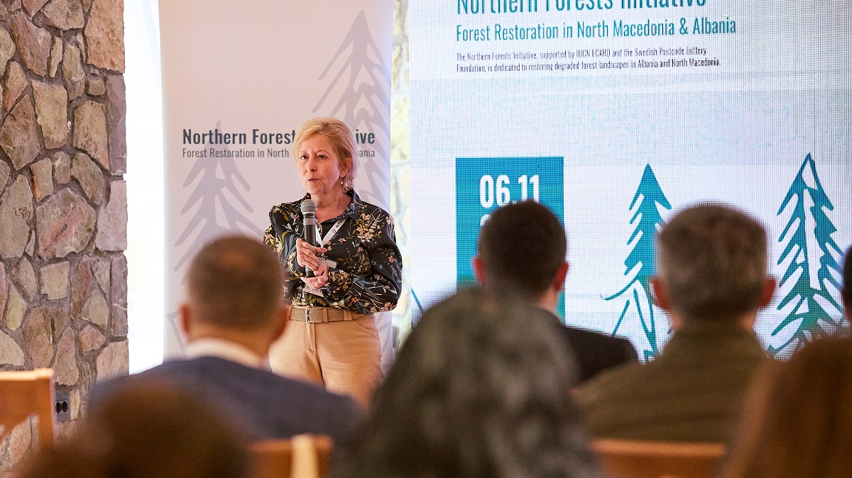 „Иницијативата за северни шуми“ – приказна за прекуграничен успех во обновување на шумите