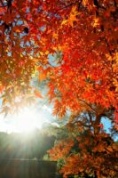 2025 година би можела да се изедначи со втората најтопла година во историјата на мерењето