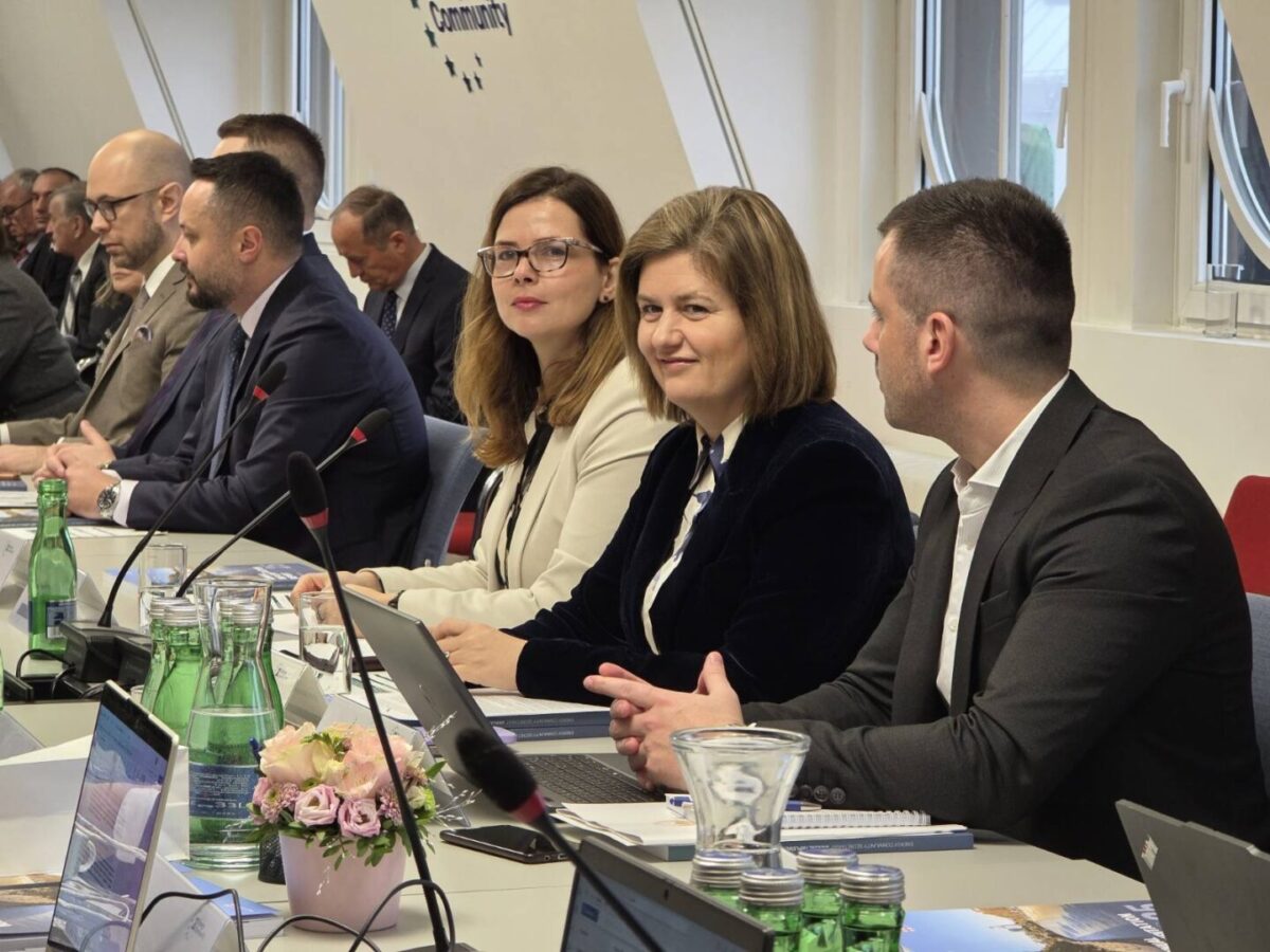 Божиновска пред Енергетската заедница: Македонија ја забрзува интеграцијата во европскиот енергетски пазар