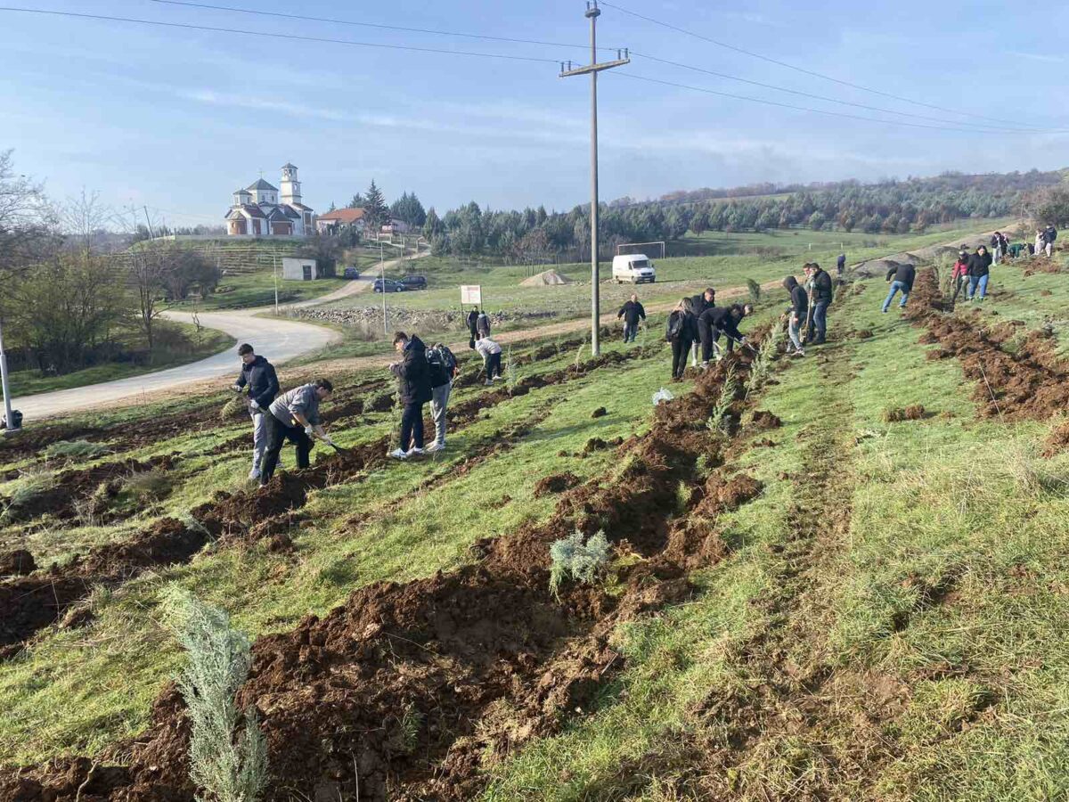 Општина Илинден: Успешно спроведена акцијата за пошумување