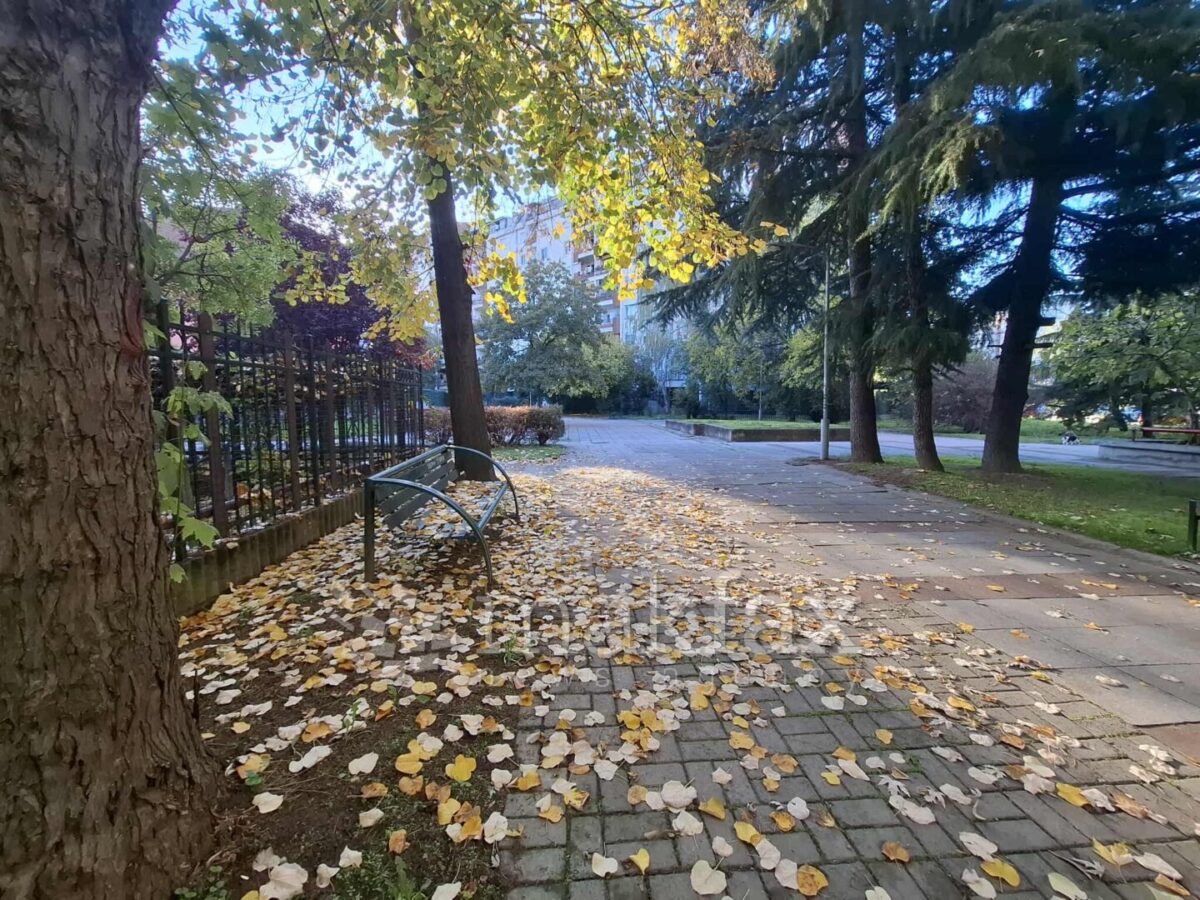 Претпладне магла, во текот на денот сончево и претежно тивко