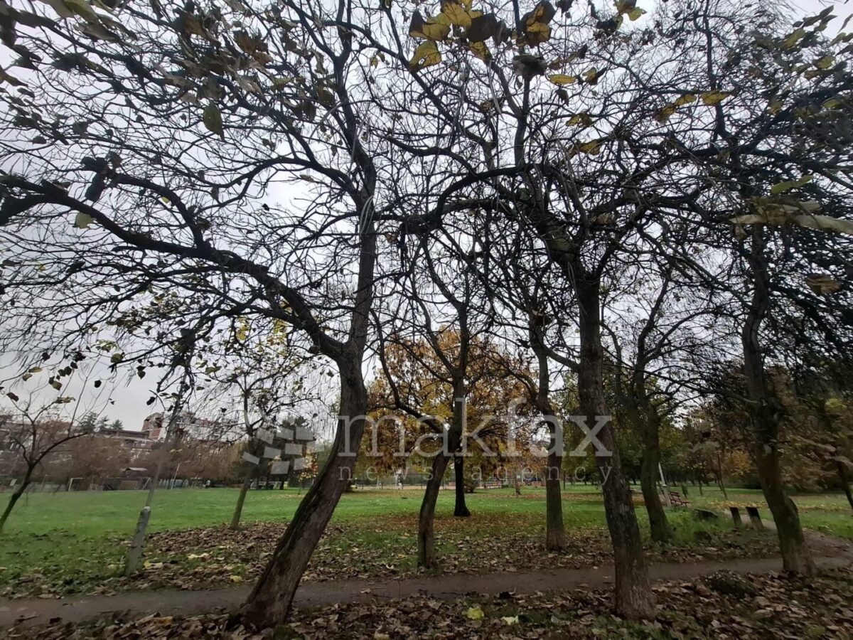 Претпладне сончево со умерена облачност, попладне зголемување на облачноста