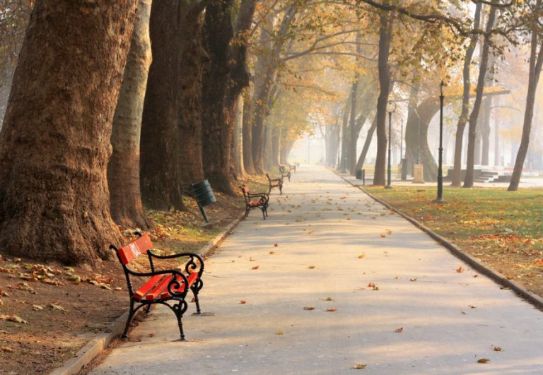 Утре, во утринските часови наместа со појава на  магла, во текот на денот сончево со умерена облачност