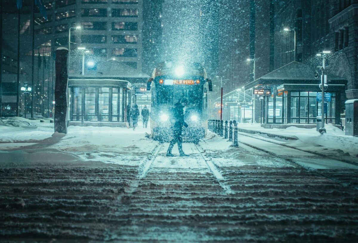 (Видео) Снегот уриваше дрвја и оштети автомобили во Белград