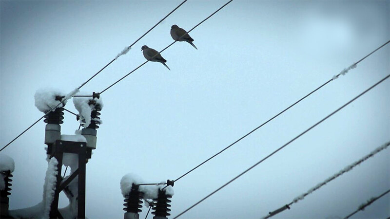 Делови од Сопиште и Илинден денеска без струја