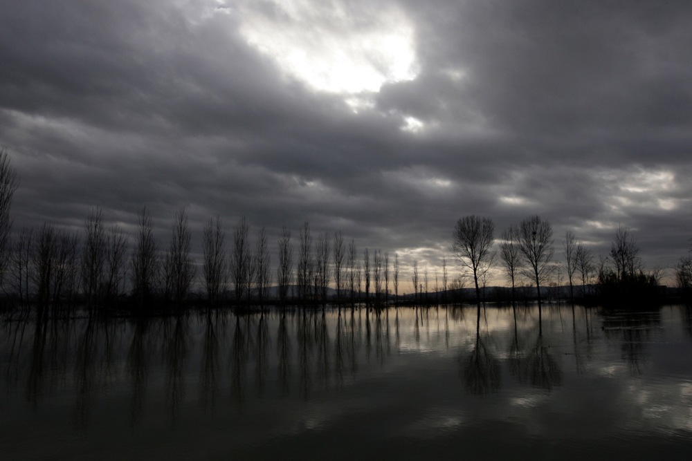 Поплави во Драч: евакуирани 180 лица, поплавени околу 800 домови