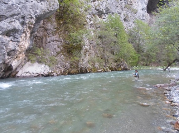 Сезоната за спортски риболов на водите во НП „Маврово“ почнува од утре