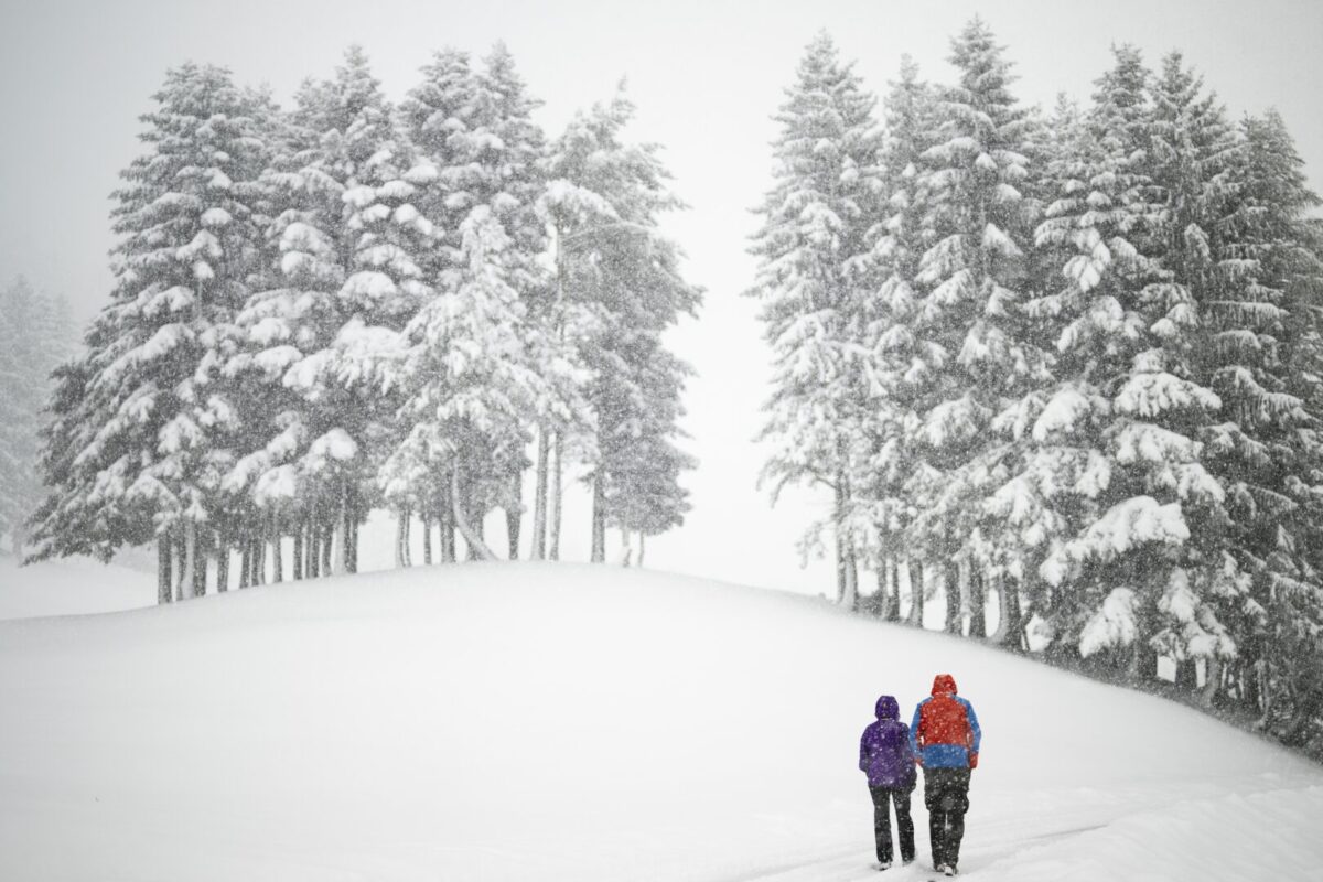 Студ, снег и мраз ја погодија Европа: 34.000 домаќинства без струја во Британија, Франција под портокалов метео-аларм